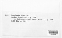 Ramularia ulmariae image